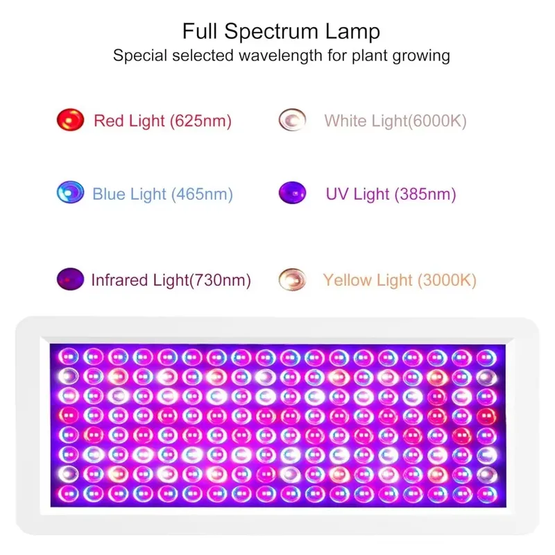 Neueste UV-Lichtbox 2026 für d – Sneaker Box Bewertung und Preis